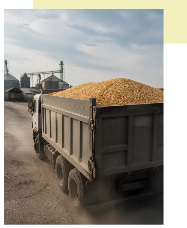 Перевозка сельхозпродукции навалом в Тынду по цене от 3083 р. | Агросервис-Тнд